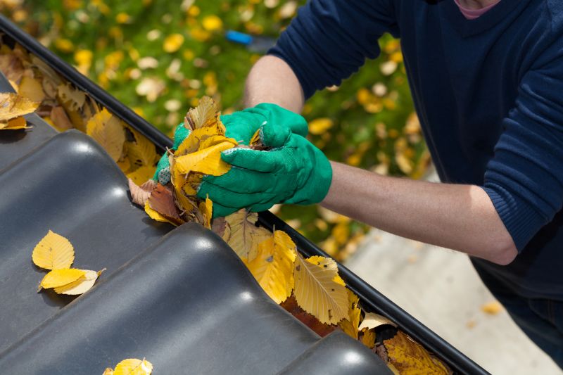 Business Gutter Cleaning in Mcdonough, GA