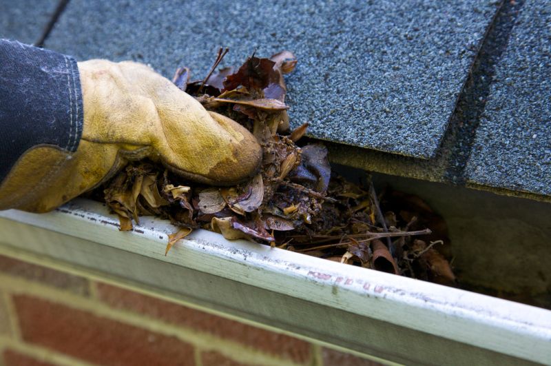 Clogged Gutter Clearing in Rochester, NY
