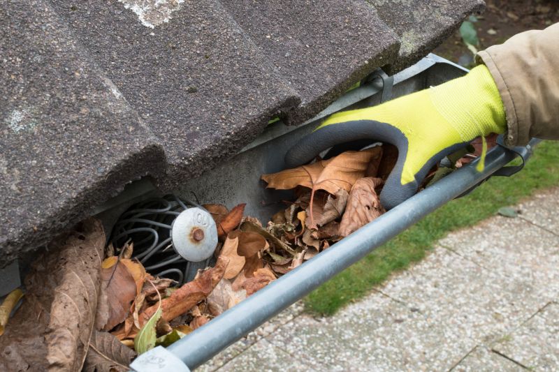 Commercial Gutter Maintenance in Denver, CO