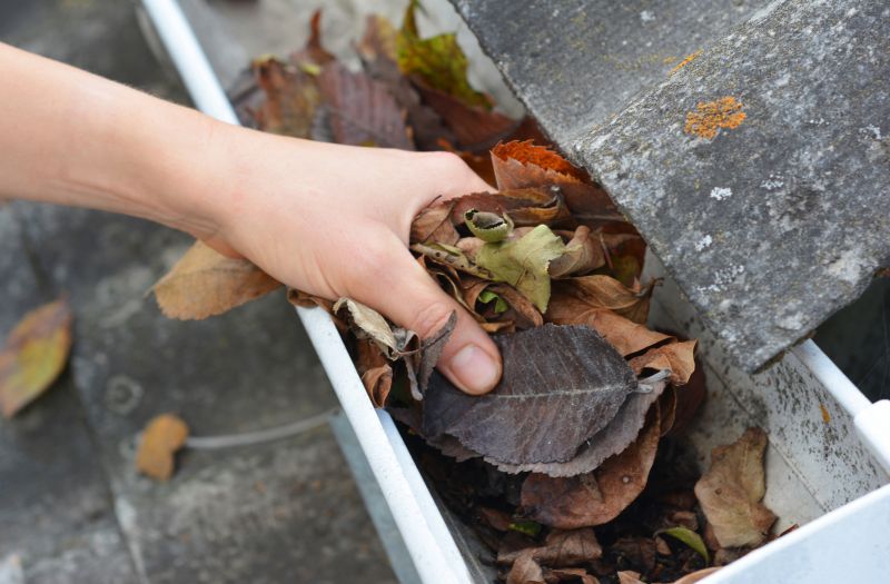 Commercial Gutter Maintenance in Sacramento, CA