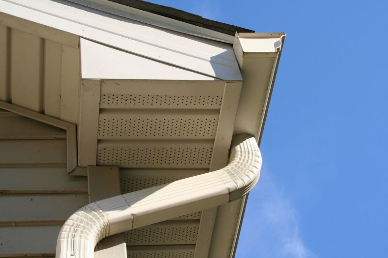 Downspout Blockage Removal in Boulder, CO