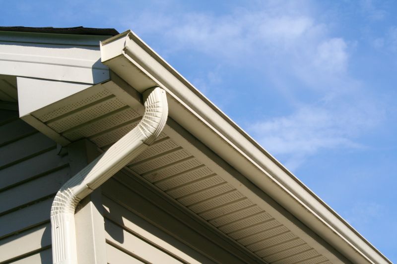 Eavestrough Clearing in Westchester County, NY