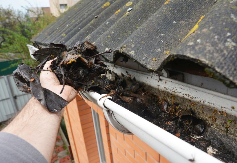 Gutter Blockage Removal in Monmouth County, NJ
