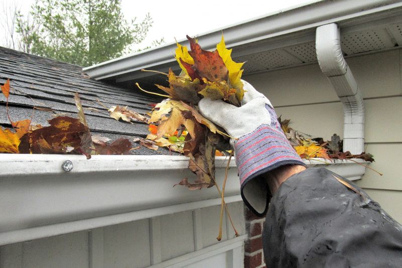 Gutter Cleaning in Richmond, VA