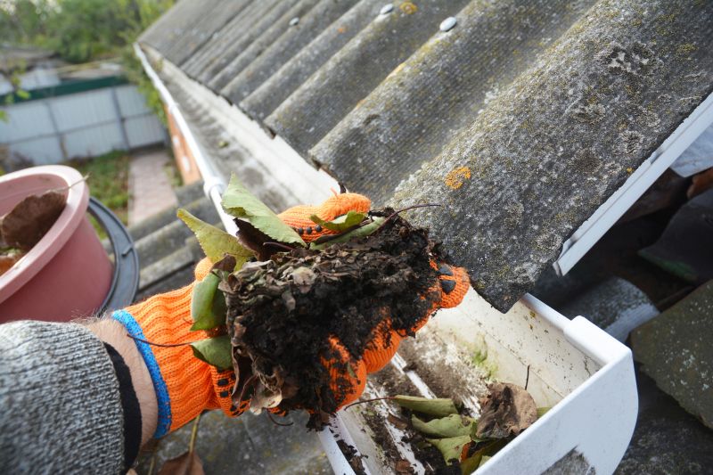 Gutter Leaf Clearing in Longmont, CO