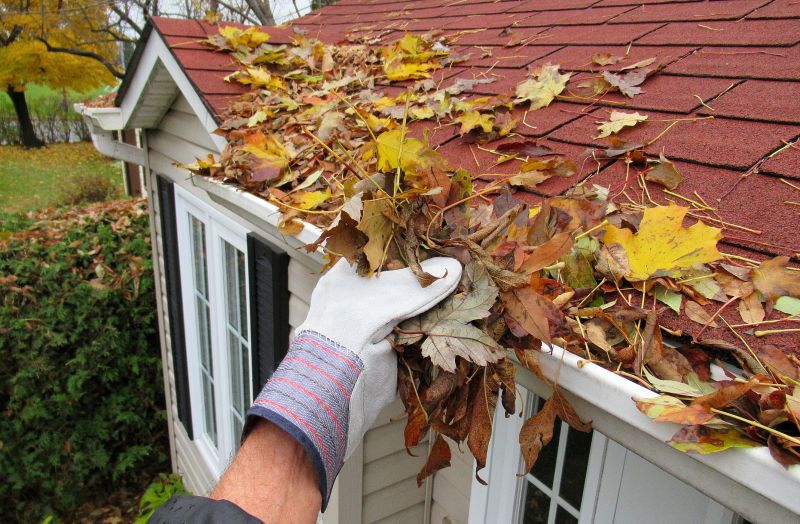 Gutter Leaf Clearing in Morris County, NJ