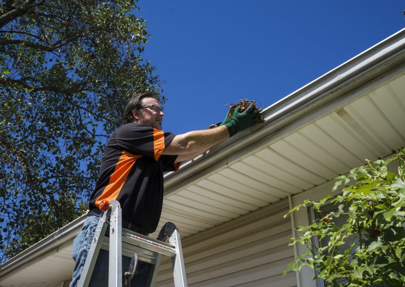 Gutter Leaf Clearing in Fredericksburg, VA