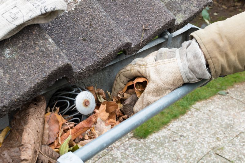 Gutter Leaf Clearing in Baltimore, MD
