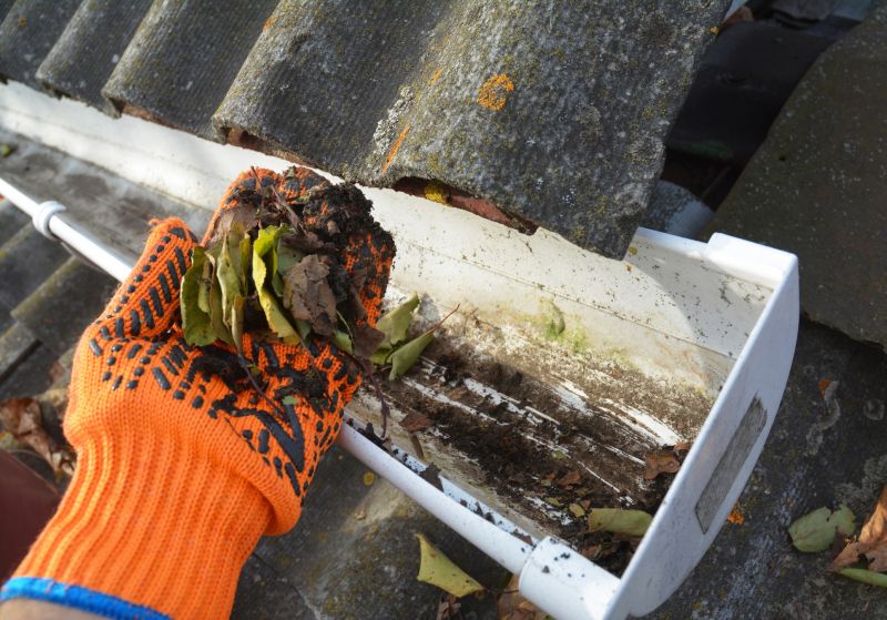 Gutter Leaf Clearing in Annapolis, MD