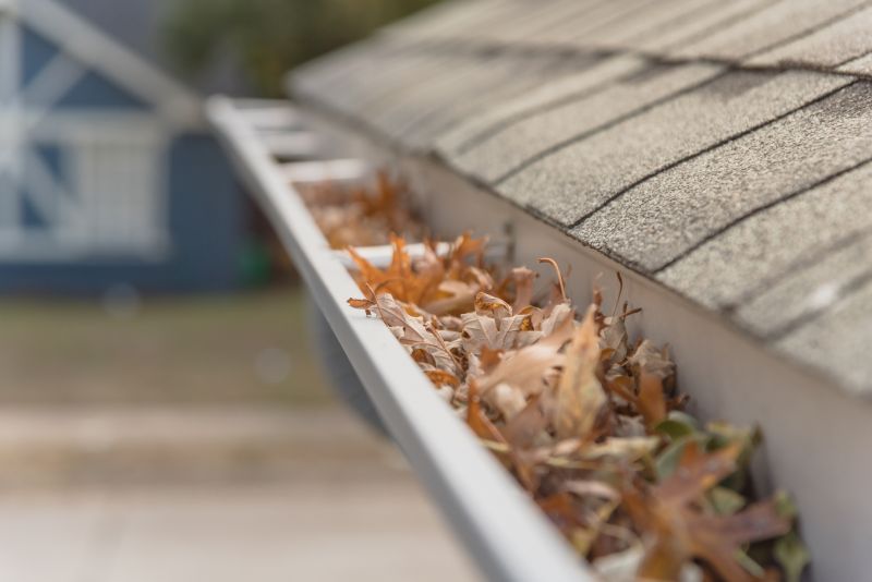Gutter Leaves Removal in Richmond, VA