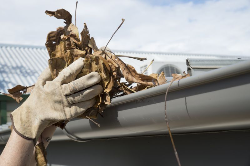 Gutter Pine Needle Removal in Bergen County, NJ