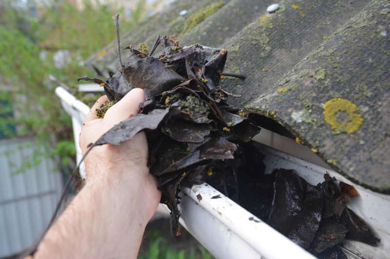 Gutter Pine Needle Removal in Boulder, CO