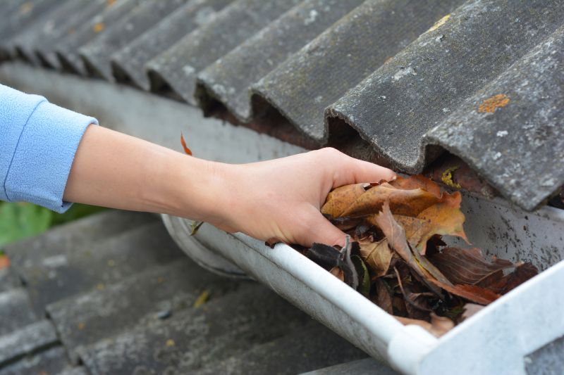 Roof Gutter Cleaning in Richmond, VA