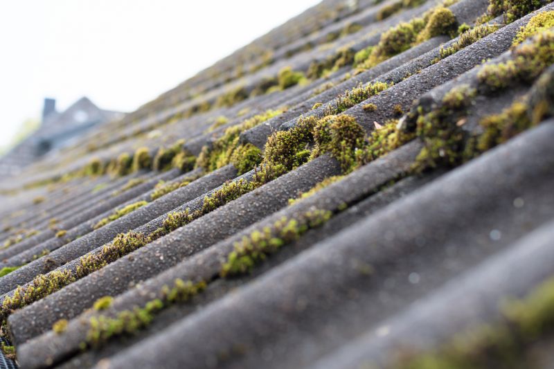 Roof Moss Removal in Vancouver, WA